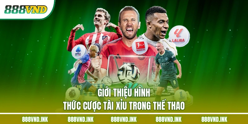 Giới thiệu hình thức cược tài xỉu trong thể thao