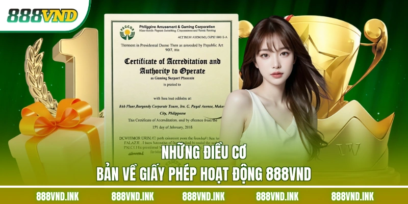 Những điều cơ bản về giấy phép hoạt động 888VND