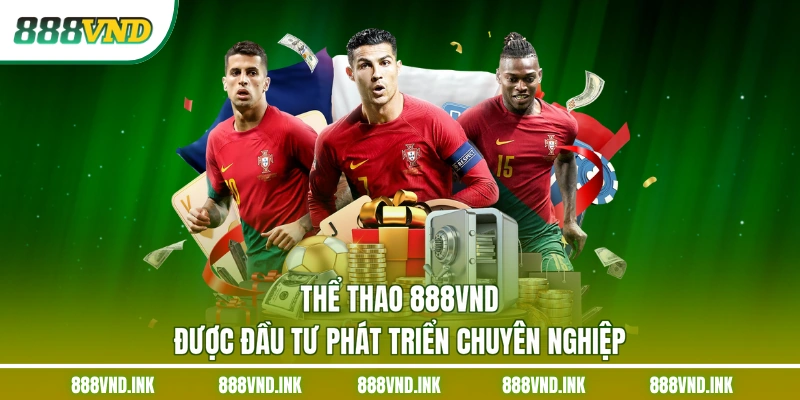Thể thao 888VND được đầu tư phát triển chuyên nghiệp